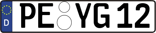 PE-YG12