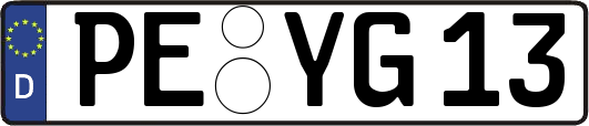 PE-YG13