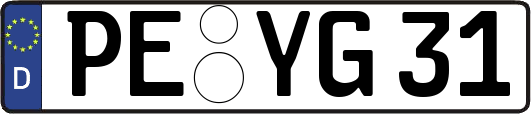 PE-YG31