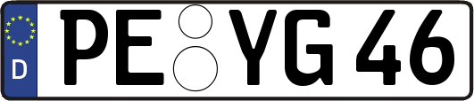 PE-YG46