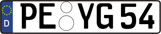 PE-YG54