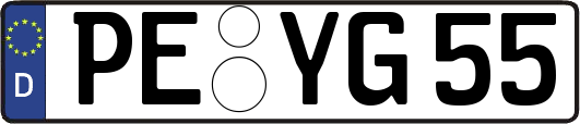 PE-YG55