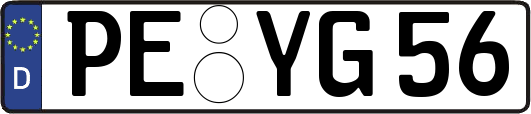 PE-YG56