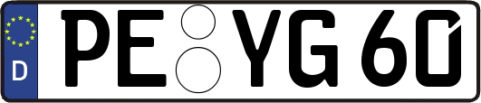 PE-YG60