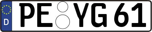 PE-YG61