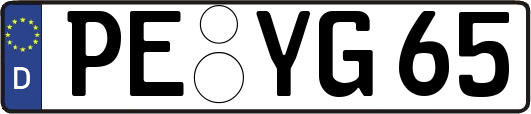 PE-YG65