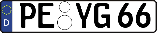 PE-YG66