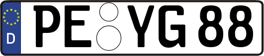PE-YG88