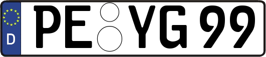 PE-YG99