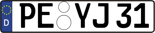 PE-YJ31