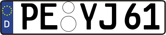 PE-YJ61