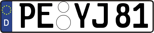 PE-YJ81