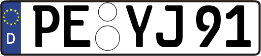 PE-YJ91