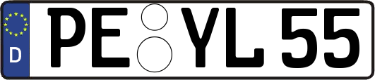 PE-YL55