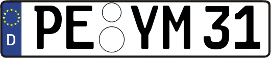 PE-YM31