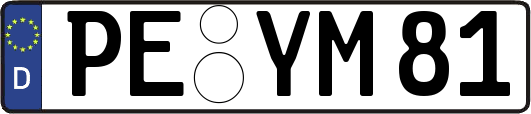 PE-YM81