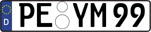 PE-YM99