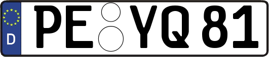 PE-YQ81