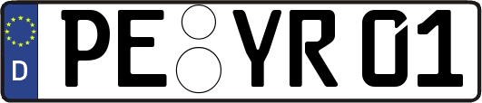 PE-YR01