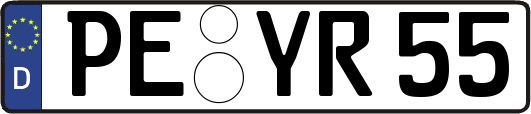 PE-YR55