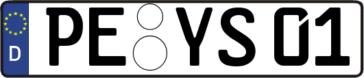 PE-YS01