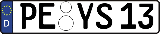 PE-YS13