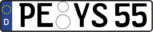 PE-YS55
