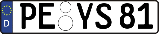 PE-YS81
