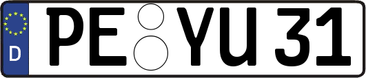 PE-YU31