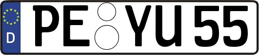 PE-YU55