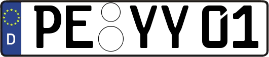 PE-YY01