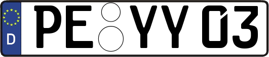 PE-YY03