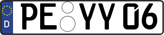 PE-YY06