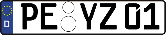 PE-YZ01