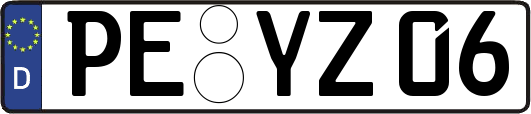 PE-YZ06