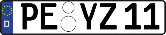PE-YZ11