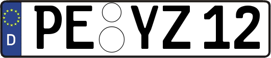 PE-YZ12