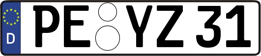 PE-YZ31