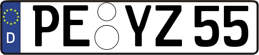 PE-YZ55