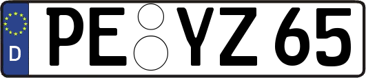 PE-YZ65