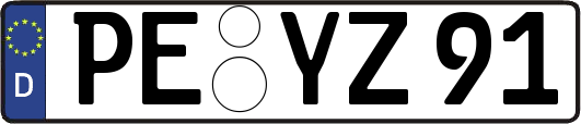 PE-YZ91