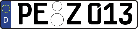 PE-Z013