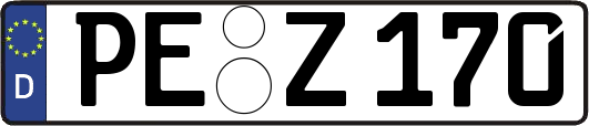 PE-Z170