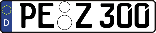 PE-Z300