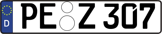 PE-Z307