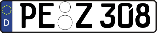 PE-Z308
