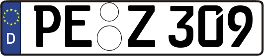 PE-Z309