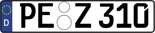 PE-Z310