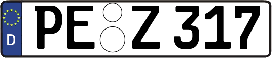 PE-Z317
