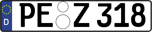 PE-Z318